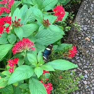 Meet your Posher, Holly